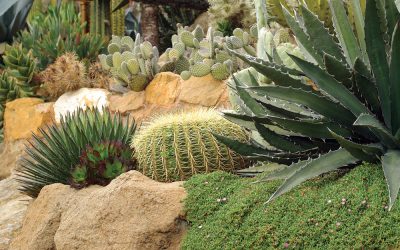 Landscaping With Rocks Maroondah