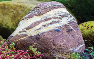 Rockwork Specialists – MONTROSE