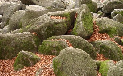 Rock Retaining Walls Warrandyte