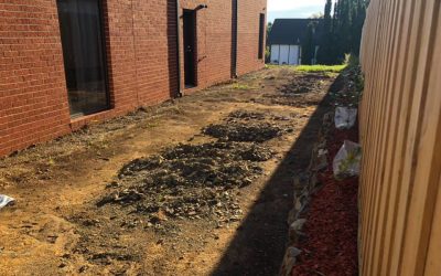 Soil Removal Services WANDIN