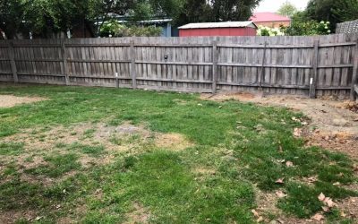 Foundation Excavation Services Emerald