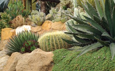 Cheapest Retaining Walls Melbourne | Rock Wall Design & Constructions